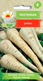 Pasternak Pastinaca sativa L. - Nasiona i cebule - miniaturka - grafika 1