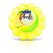 Odświeżacze powietrza - Odświeżacz w żelu dynia Arola gel fresh 150 g cytryna General Fresh - miniaturka - grafika 1