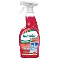 Płyny do mycia szyb - Ludwik OFERTA DODATKOWA - CHEMIA PŁYN DO SZYB 750ML GRAPEFRUIT - miniaturka - grafika 1