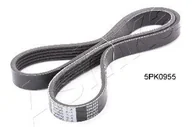 Paski klinowe i wielorowkowe - Pasek klinowy wielorowkowy Ashika 112-5PK955 - miniaturka - grafika 1