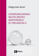 Ekonomia - Uwarunkowania Skuteczności Mentoringu W Organizacji - miniaturka - grafika 1