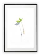 Plakaty - Plakat A4 21x30 cm  Roślina Kwiat WZORY - miniaturka - grafika 1