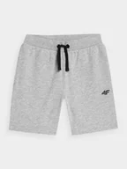 Spodnie i spodenki dla chłopców - 4F Spodenki dresowe chłopięce 164 (13-14 lat) - miniaturka - grafika 1