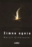 Poezja - Zimne ognie - miniaturka - grafika 1