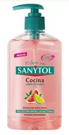 Mydła - Mydło w płynie Sanytol Kitchen Hand Soap 250 ml (8411135005051) - miniaturka - grafika 1