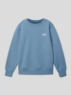 Bluzy dla chłopców - Bluza z wyhaftowanym logo model ‘ARCH’ - miniaturka - grafika 1