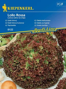 Sałata Karbowana Lollo Rossa 8122 (ST) - Nasiona i cebule - miniaturka - grafika 1