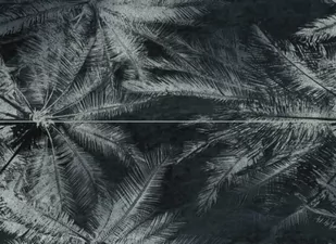 Dekor ścienny 2-elementowy Tubądzin Sedona Palms 65,8x89,8 - Płytki ceramiczne - miniaturka - grafika 1