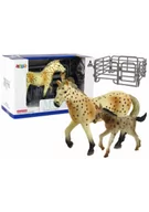 Figurki dla dzieci - Zestaw 2 Figurek Konie Zagroda Koń Źrebak Rasa Knabstrupper - miniaturka - grafika 1
