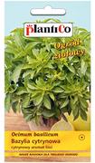 Nasiona i cebule - Plantico Bazylia cytrynowa OZI - miniaturka - grafika 1