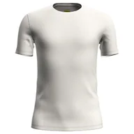 Koszulki męskie - Koszulka męska Icebreaker Anatomica SS Crewe Undyed M - miniaturka - grafika 1