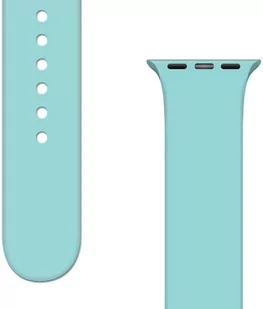 Silicone Strap APS silikonowa opaska do Watch 8 / 7 / 6 / 5 / 4 / 3 / 2 / SE (41 / 40 / 38mm) pasek bransoleta do zegarka miętowy - Akcesoria do smartwatchy - miniaturka - grafika 1