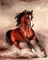 Dekoratorstwo - Haft Diamentowy Koń Galop 45X55 - miniaturka - grafika 1