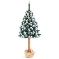 Choinki - Sosna diamentowa na pniu 180 cm - miniaturka - grafika 1