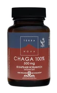 Suplementy naturalne - Terranova Terranova Chaga 100 % Skuteczny przeciwutleniacz w formie suplementu 50 kaps - miniaturka - grafika 1
