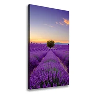 Obrazy i zdjęcia na płótnie - Foto obraz canvas pionowy Pole lawendy - miniaturka - grafika 1