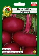 Nasiona i cebule - NASIONA BURAK ĆWIKŁOWY D'EGYPTE 20G - miniaturka - grafika 1