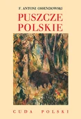 Przewodniki - Puszcze Polskie Antoni Ferdynand Ossendowski - miniaturka - grafika 1