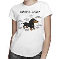 Koszulki i topy damskie - Anatomia jamnika - damska koszulka na prezent Biała - miniaturka - grafika 1