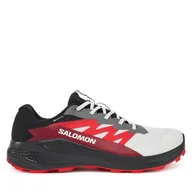Buty sportowe męskie - Buty do biegania Salomon Alphaglide Gore-Tex L47802200 Szary - miniaturka - grafika 1