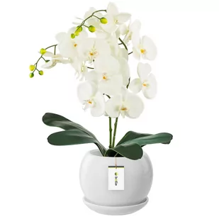 Doniczka Ceramiczna KULA 4 z podstawką biała - Donice Doniczka Ceramiczna KULA 4 z podstawką biała - Donice - miniaturka - grafika 1