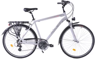Rower Trekkingowy ROMET Wagant 1 LTD 2021 (21") - Rowery - miniaturka - grafika 1