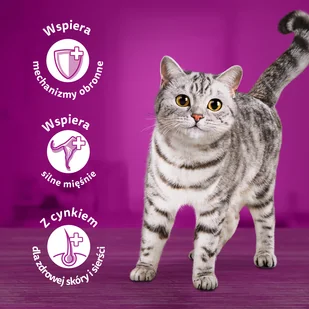 WHISKAS Adult saszetki 40 x 85 g Rybne Przysmaki - mokra karma dla dorosłego kota, w galaretce + WHISKAS Adult saszetki 40 x 85 g Klasyczne Posiłki - Mokra karma dla kotów - miniaturka - grafika 9
