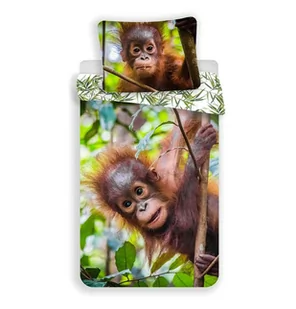 Pościel bawełniana Orangutan, 140 x 200 cm, 70 x 90 cm - Pościel - miniaturka - grafika 1