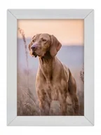 Ramki na zdjęcia - Ramka Woodflow FrameFlip A4 - drewno bielone - miniaturka - grafika 1