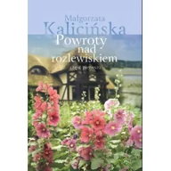 Literatura przygodowa - Edipresse Polska Powroty nad rozlewiskiem Część 1 - Małgorzata Kalicińska - miniaturka - grafika 1