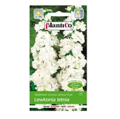 Nasiona i cebule - LEWKONIA letnia BIAŁA Opal nasiona kwiatów 0,5g - miniaturka - grafika 1