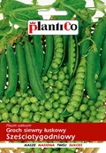 Nasiona i cebule - Plantico Groch konserwowy Sześciotygodniowy - miniaturka - grafika 1