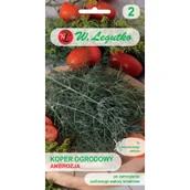 Nasiona i cebule - Legutko Koper AMBROZJA 5g Nas000183 - miniaturka - grafika 1