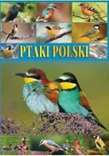 Nauki przyrodnicze - Ptaki polski - miniaturka - grafika 1