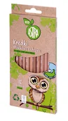 Przybory szkolne - Kredki ołówkowe cedrowe Eco 12 kolorów - Astra - miniaturka - grafika 1