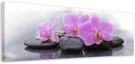 Obrazy i zdjęcia na płótnie - Obraz na płótnie, Różowe storczyki i kamienie 120x40 - miniaturka - grafika 1