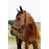 Kantary dla koni - Can-agri Can-Agri Kantar Goleygo z Adapterem czarno-różowy roz.1 3221378 - miniaturka - grafika 1