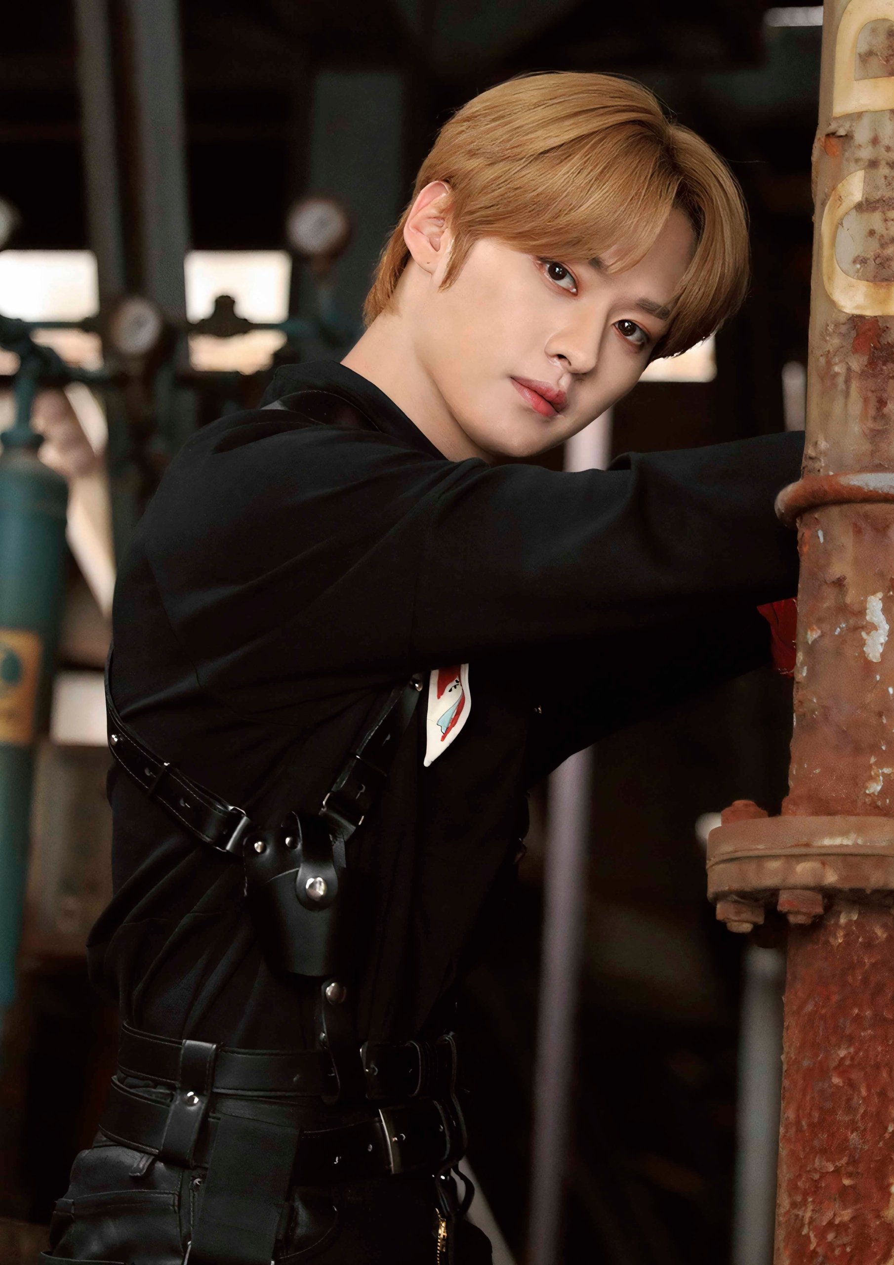 Plakat A1 Stray Kids K-Pop Kpop Korea Muzyka Lee Know
