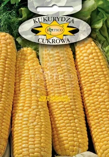 KUKURYDZA CUKROWA GOLDEN BANTAM 10g - Nasiona i cebule - miniaturka - grafika 1