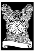Kolorowanki, wyklejanki - Kolorowanka Welw. A4 Buldog Francuski - miniaturka - grafika 1