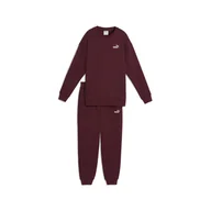 Spodnie damskie - Damski Dres PUMA SWEAT SUIT RELAXED FL CL 68816096 – Bordowy - miniaturka - grafika 1