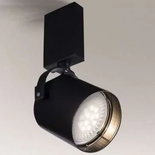 Shilo Lampa sufitowa z regulowanym pojedynczym reflektorem Tenri 2242 2242 - Lampy sufitowe - miniaturka - grafika 1
