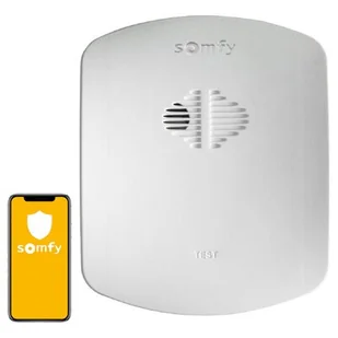 SOMFY Czujnik dymu TAHOMA BOX SOMFY - Czujniki czadu, dymu, gazu - miniaturka - grafika 1