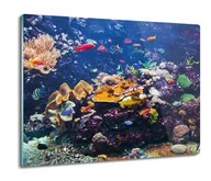 Deski do krojenia - druk deska splashback Fauna rafa koralowa 60x52, ArtprintCave - miniaturka - grafika 1