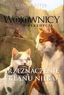 Fantasy - Przeznaczenie Klanu Nieba Superedycja - miniaturka - grafika 1