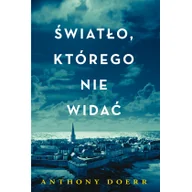 Powieści - Czarna Owca Światło, którego nie widać - miniaturka - grafika 1