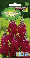 Nasiona i cebule - Lwia paszcza wysoka czerwona 0.5 g POLAN - miniaturka - grafika 1