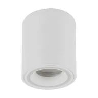 Lampy sufitowe - Ideus Metalowa lampa sufitowa Indi C04045 biała tuba do przedpokoju - miniaturka - grafika 1