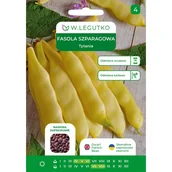 Nasiona i cebule - Fasola szparagowa Tytania nasiona W.Legutko - miniaturka - grafika 1
