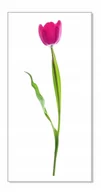 Naklejki na ścianę - Naklejka ścienna kwiaty kwiatki 30cm Tulipan 11, 30x16 cm - miniaturka - grafika 1